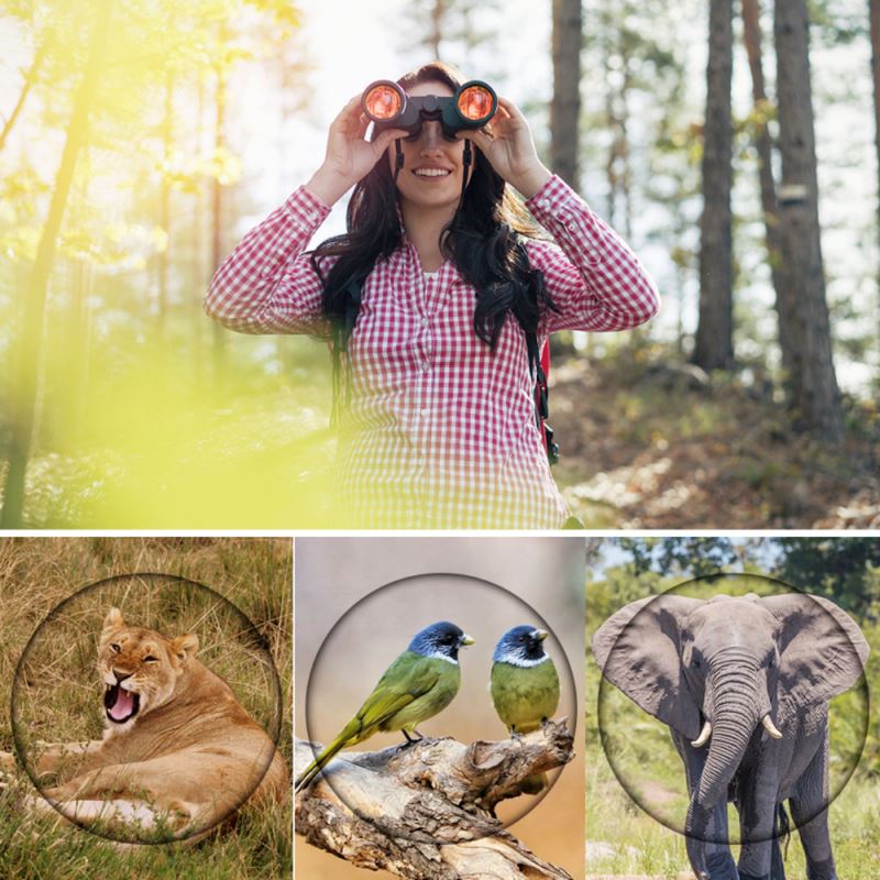 Binóculos Profissional HD 80x80 | Longo alcance & Visão Noturna JM1560